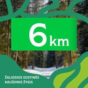 TrenkTuras: Žaliosios sostinės kalėdinis žygis Vilniuje'25 - 6 KM