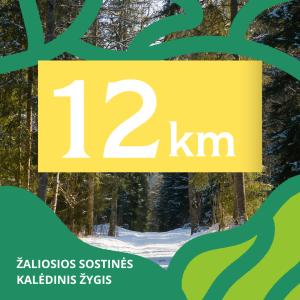 TrenkTuras: Žaliosios sostinės kalėdinis žygis Vilniuje'25 - 12 KM