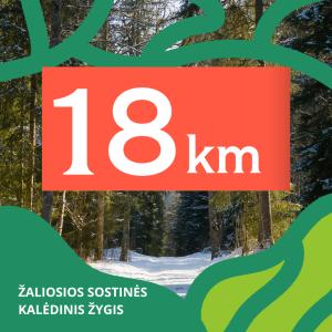 TrenkTuras: Žaliosios sostinės kalėdinis žygis Vilniuje'25 - 18 KM