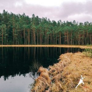 Paskui Strėvos upę Spindžiaus ežero link (14 km)