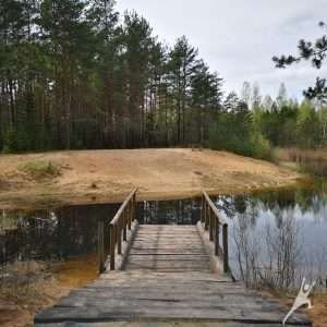 Dumsių giria, kur kopos randasi miške (10 km)