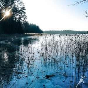 Aštuonių Labanoro ežerų pakrantėmis (21 km)