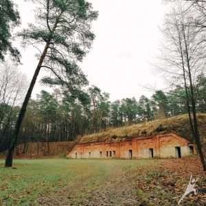 Vičiūnuose: Panemunės šilo takais (7 km)