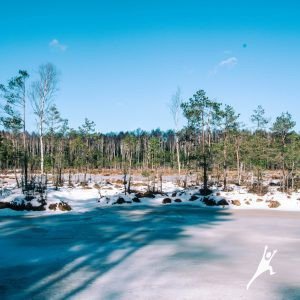 Per sodybas Gitėnų miško takais (27 km)