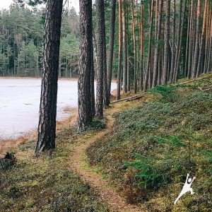 Minčios lobių beieškant (23 km)