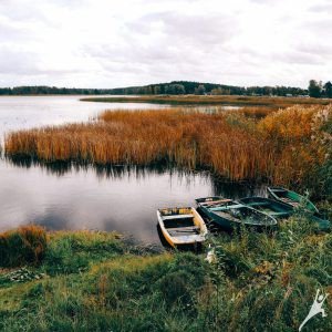 Seši ezeri un purvs starp Lilasti un Gauju (23 km)