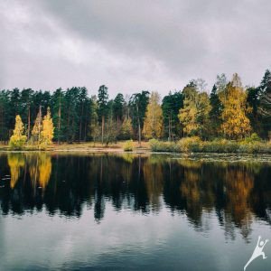 Biķernieku meža pastaiga (7 km)