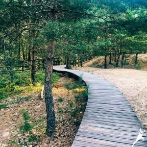 Spacer przez Trzęsawiska Łuże (10 km)