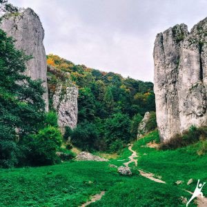 Trasa po Dolinie Kobylańskiej oraz Bramę Bolechowicką (13 km)