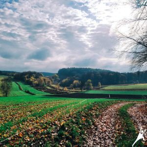 Szlak przez dolinę Racławki i Las Żarski (17 km)