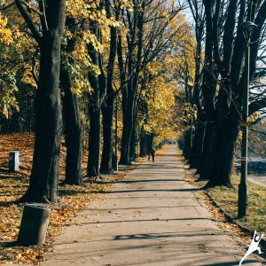 Podróż w czasie między Wawelem i zamkiem Przegorzały (15 km)