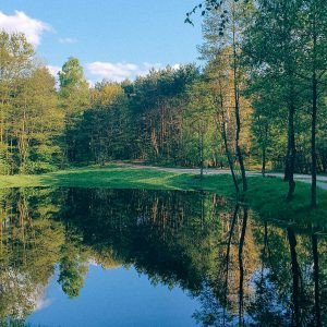 Żółwi staw i spacer na Górę Regucką (5 km)