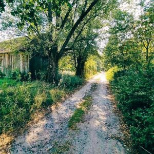 Ucieczka na wieś: Galasy, Ponurzyca (10 km)