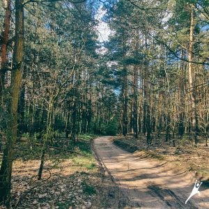 Szlak między stawami w Kącikach (12 km)