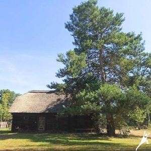 Skansen budownictwa puszczańskiego i okolice (12 km)