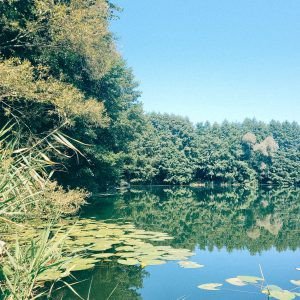 Spacer wokół stawów w Przylasku Rusieckim (9 km)