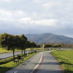 Bielsko Biała Dębowiec (13 km)