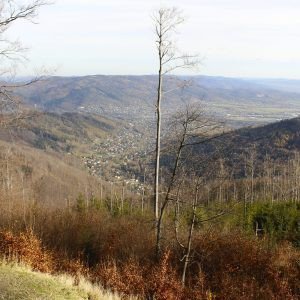 Bielsko Biała Szyndzielnia (12 km)