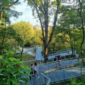 Kopiec Powstania Warszawskiego (2 km)