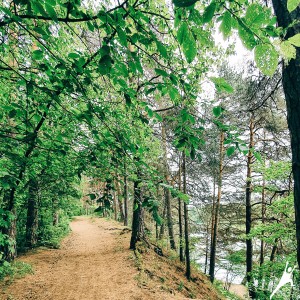 Bukčių miško ir Neries pakrančių takais (11 km)