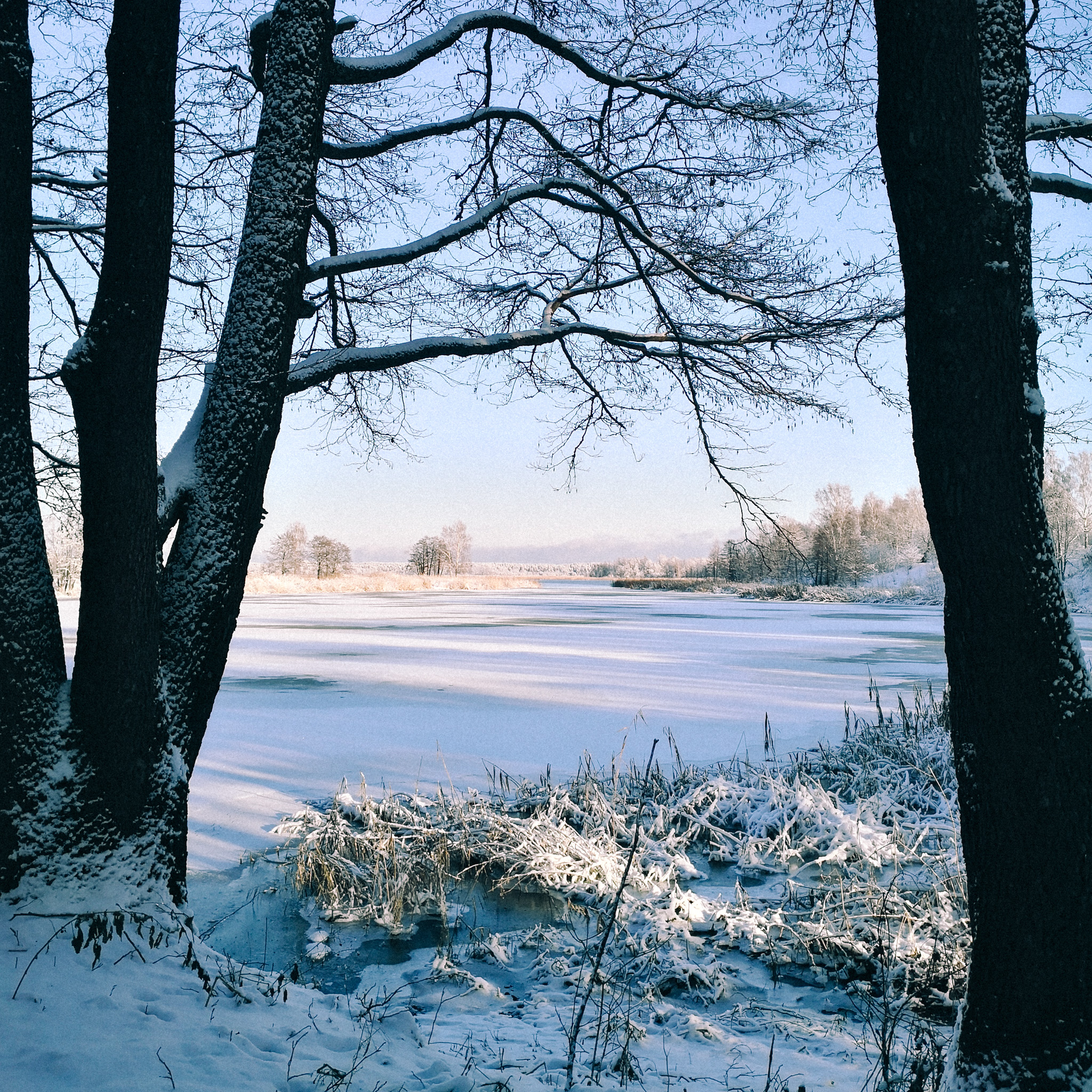 Ķīšezers - Bābelītis (6 km)