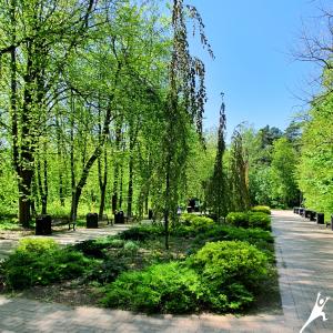 Pasivaikščiojimas tėveliams ir vaikams Klaipėdoje (4 km)